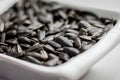 Sunflower seeds lying in a plate can serve as a background_ Royalty Free Stock Photo