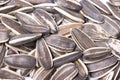 Sunflower Seeds. Royalty Free Stock Photo