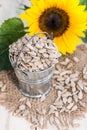 Sunflower Seeds (Macro Shot) Royalty Free Stock Photo