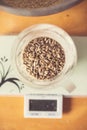 Sunflower seeds in a measurement cup