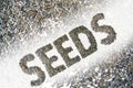 Sunflower seeds Royalty Free Stock Photo