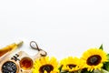 Sunflower with seeds and oil frame on white background top view copyspace Royalty Free Stock Photo