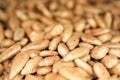 Sunflower seeds peeled with spices. Pile of sunflower seeds for texture or background. Close-up shelled sunflower seeds. Top view