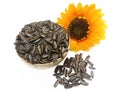 Sunflower seeds pile against isolated on white background. Roasted and Salted in the original flavor. Royalty Free Stock Photo