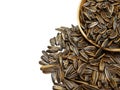 Sunflower seeds pile against isolated on white background. Roasted and Salted in the original flavor. Royalty Free Stock Photo