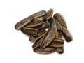 Sunflower seeds pile against isolated on white background. Roasted and Salted in the original flavor. Royalty Free Stock Photo