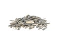 Sunflower seeds pile Royalty Free Stock Photo