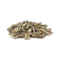 Sunflower seeds pile against white background Royalty Free Stock Photo