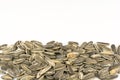 Sunflower seeds pile against white background Royalty Free Stock Photo