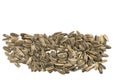 Sunflower seeds pile against white background Royalty Free Stock Photo