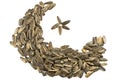 Sunflower seeds pile against white background Royalty Free Stock Photo