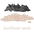 Sunflower seeds pile against white background illustation Royalty Free Stock Photo