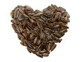 Sunflower seeds pile against on white background. Roasted and Salted in the original flavor.