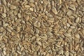 sunflower seeds roasted and peeled top view, texture Royalty Free Stock Photo