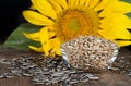 Sunflower Seeds Royalty Free Stock Photo