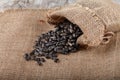 Sunflower seeds in a sack on burlap. Royalty Free Stock Photo