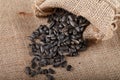 Sunflower seeds in a sack on burlap. Royalty Free Stock Photo