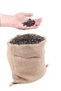 Sunflower seeds in sack and hand.