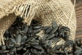 Sunflower seeds are scattered on homespun fabric with a rough texture. close-up, selective focus Royalty Free Stock Photo