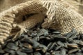 Sunflower seeds are scattered on homespun fabric with a rough texture. close-up, selective focus Royalty Free Stock Photo