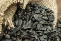 Sunflower seeds are scattered on homespun fabric with a rough texture. close-up, selective focus Royalty Free Stock Photo