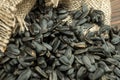 Sunflower seeds are scattered on homespun fabric with a rough texture. close-up, selective focus Royalty Free Stock Photo