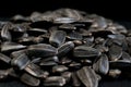 Sunflower seeds. Seed texture . Black and white roasted organic Royalty Free Stock Photo