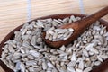 Sunflower seeds, shelled