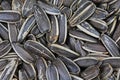 Sunflower seeds. Sunflower seed texture as background. Black and white roasted organic seeds. Food photography in studio Royalty Free Stock Photo