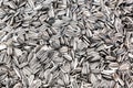 Sunflower seeds for texture Royalty Free Stock Photo