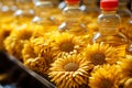 From sunflower seeds to refined oil, a precise factory production line