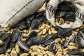 Sunflower seeds, two bags of seeds lie on the wheat grains Royalty Free Stock Photo