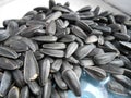 Sunflower seeds are very good for people.