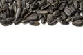 Sunflower seeds on white background Royalty Free Stock Photo