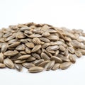 sunflower seeds on white background