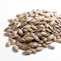 sunflower seeds on white background