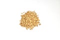 Sunflower seeds on a white background. Royalty Free Stock Photo