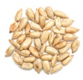 Sunflower seeds on white Royalty Free Stock Photo