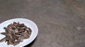 Sunflower Seeds on a White Plate with copy space area.