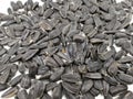 sunflower seeds on white table Royalty Free Stock Photo