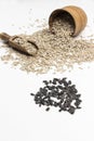 Sunflower seeds, wooden spoon and box. Natural source of iodine and calcium. Health food fitness Royalty Free Stock Photo