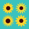 Sunflower set. Four yellow sun flower icon. Cute round plant collection. Love card symbol. Growing concept. Flat design. Green Royalty Free Stock Photo