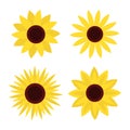 Sunflower set. Four yellow sun flower icon. Cute round summer plant collection. Love card symbol. Growing concept. Closeup. Flat