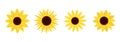 Sunflower set line. Four yellow sun flower icon. Cute round summer plant collection. Love card symbol. Growing concept. Closeup. Royalty Free Stock Photo