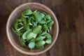 Sunflower Shoots in a Bowl Royalty Free Stock Photo