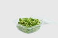 Sunflower shoots and sprouts in a plastic box on an empty background isolate. Green microgreen salad for eating. Healthy