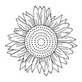Sunflower simple drawing outline for coloring book