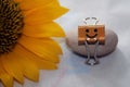 Sunflower and small smiling clips sitting on stone. Still life concept.