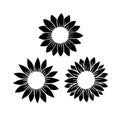 Sunflower split monogram. Flower silhouette vector illustration. Sunflower graphic logo, hand drawn icon for packaging Royalty Free Stock Photo