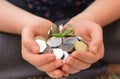 Sunflower sprout in hands with Olympic 50p coins Royalty Free Stock Photo